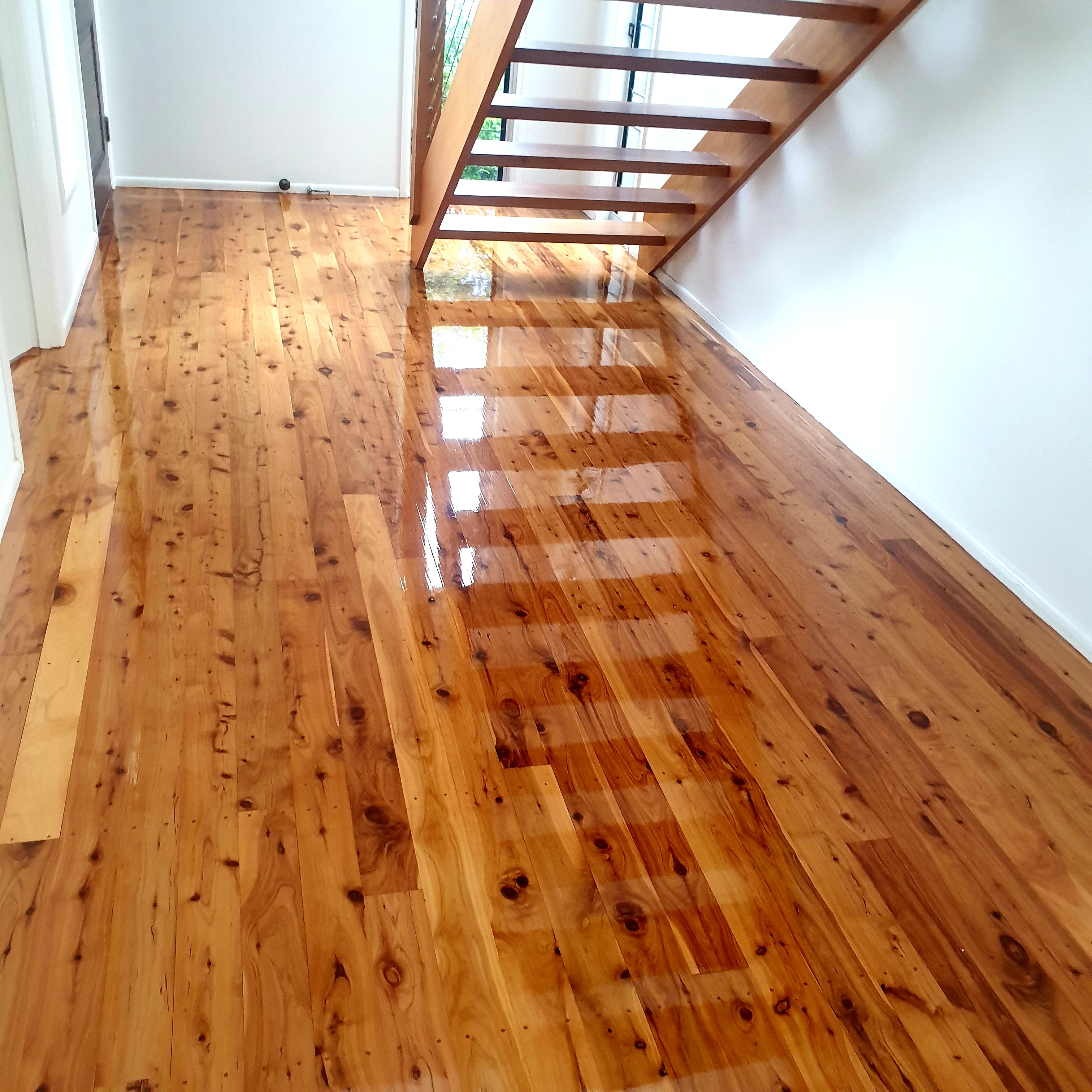 Discovery Coast Floors  - image 5