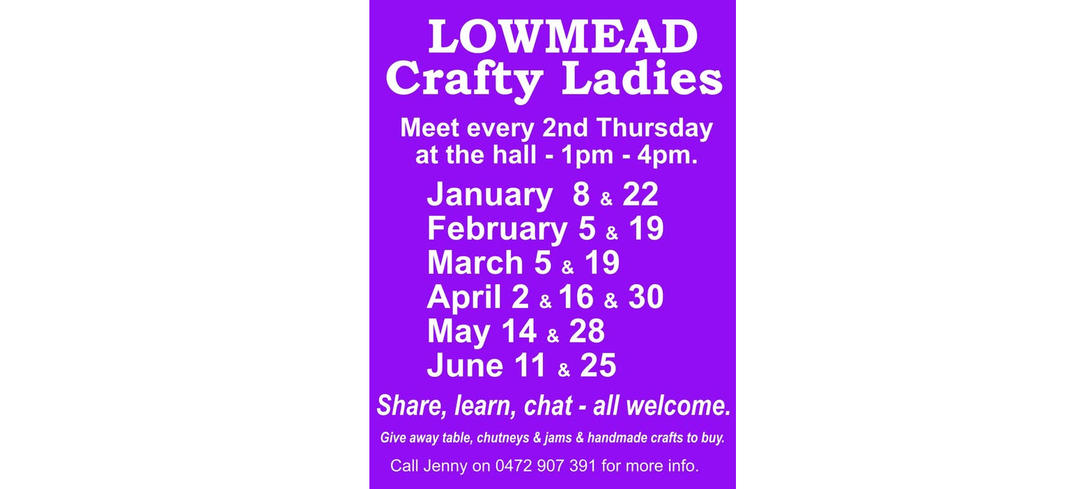Lowmead Crafty Ladies - event image